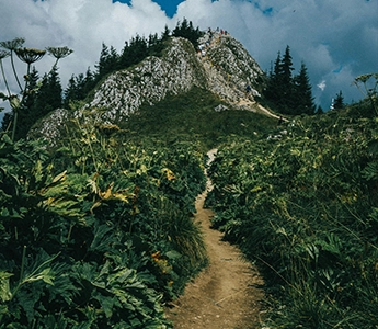 Mountain hiking group by Andrei Popescu